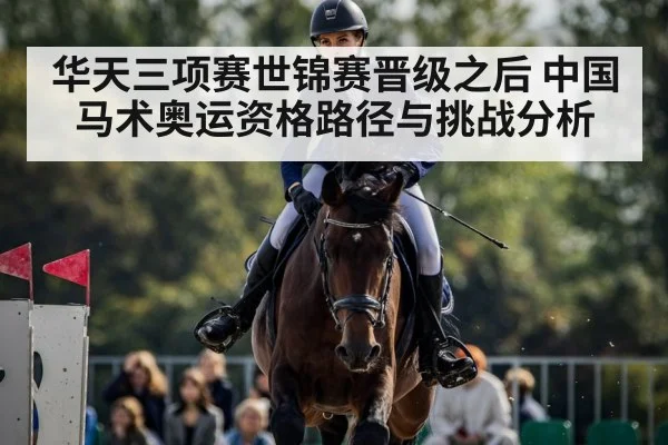 show jumping horse competition